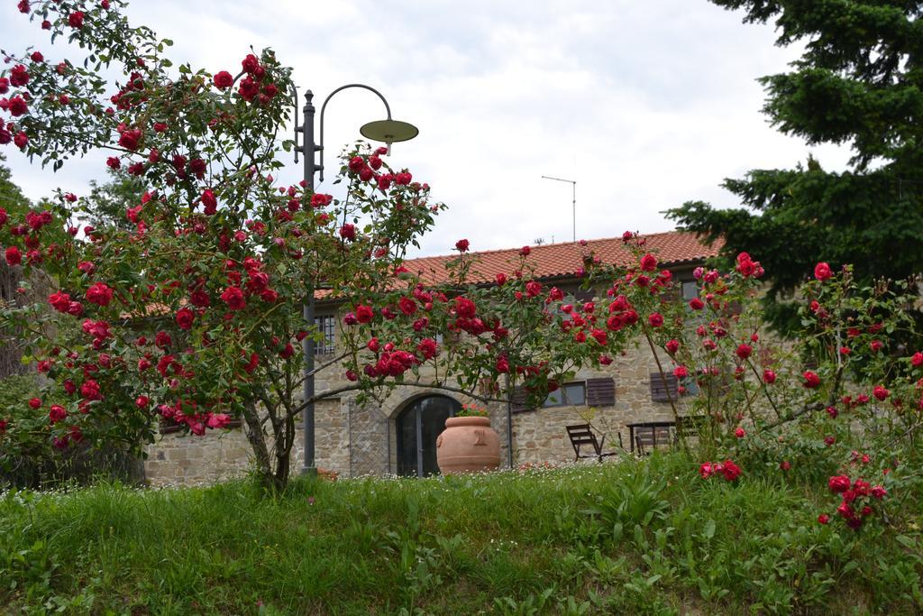 Fattoria Il Praticino Villa Castelfranco di Sopra Exteriör bild