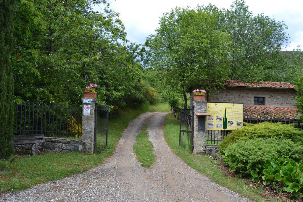 Fattoria Il Praticino Villa Castelfranco di Sopra Exteriör bild