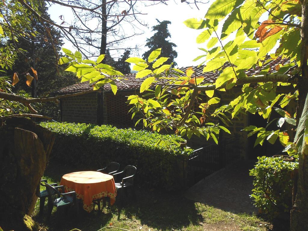 Fattoria Il Praticino Villa Castelfranco di Sopra Exteriör bild